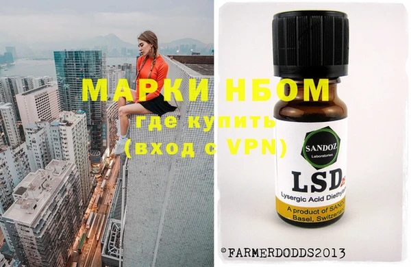 гашик Балахна