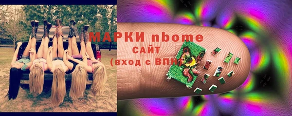 гашик Балахна