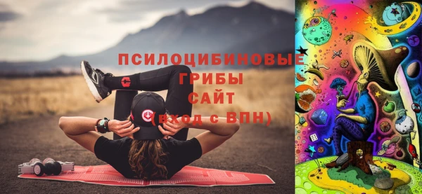 гашик Балахна