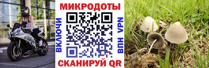 Галлюциногенные грибы Magic Shrooms Мытищи