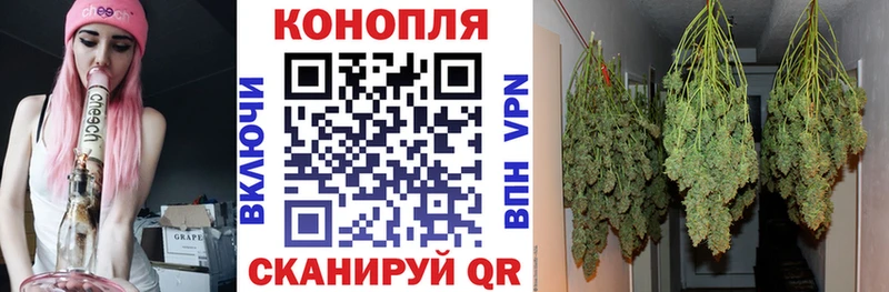 Конопля Bruce Banner  наркошоп  Мытищи 
